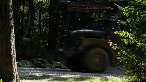 Logging truck loaded with timber driving on forest dirt road raising dust Stock Footage 344887434