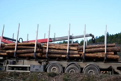 Logging truck loading cut timber in san cabras soria Photos