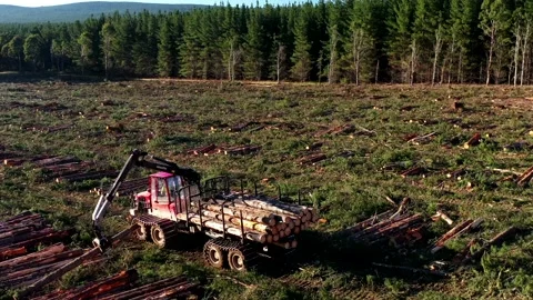 Logging truck loading logs Video stock 172559254