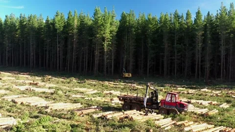 Logging truck loading logs Video stock 172559618