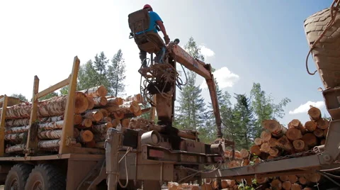 Logging Truck at Lumber Mill loads tree trunk Vídeo Stock 59574681