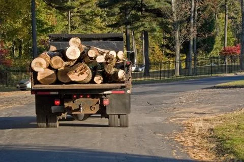 Logging Truck Stock Photos