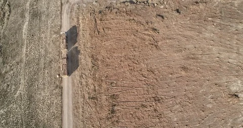Logging truck pulling into temporary loading depot in barren deforested area  Stock Footage 95140638