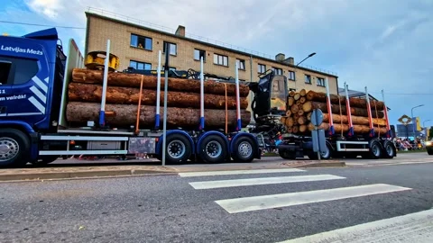 Logging truck with timber cargo crossing a pedestrian crosswalk during a parade Stock Footage 339904013
