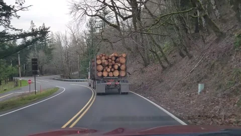 Logging truck transporting cut timber driving on a forest road in Oregon, USA Stock Footage 328335238