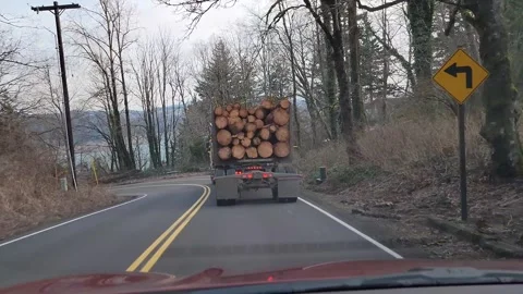 Logging truck transporting cut timber driving on a forest road in Oregon, USA Video stock 328335249