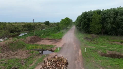 Logging truck transporting timber along a rural dirt road in the Paraná Delta Stock-Footage 320509638