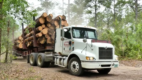Logging truck wide angle close-up moves L-R thru frame Stock Footage 75475510