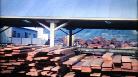 Logging trucks arrive at lumber mill with load 1950 vintage film home movie 4603 Stock Footage