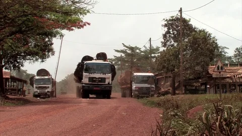 Logging trucks in a village Stock Footage 81048260