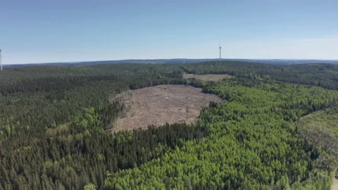 Logging in wilderness area create exposed patches of land, wind turbines; Stock Footage 237986378