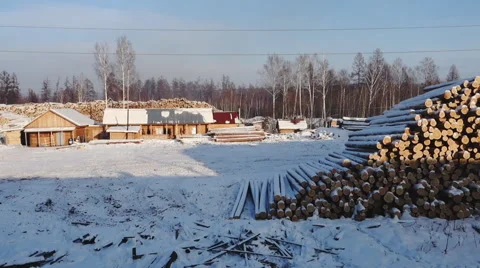 Logging in the winter in Siberia Stock Footage 59892048