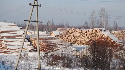Logging in the winter in Siberia Stock Footage 59893704