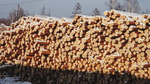 Logging in the winter in Siberia Stock Footage 59894199