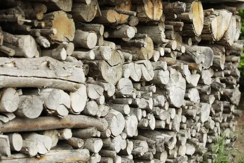 Logging, wood processing industry. Stock Photos