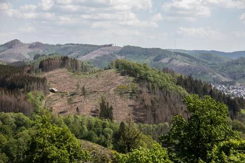 Logging work Stock Photos