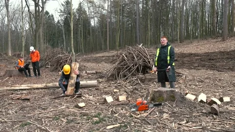 Logging work worker carries log, sets it. Wood processing for firewood Stock Footage 153665212