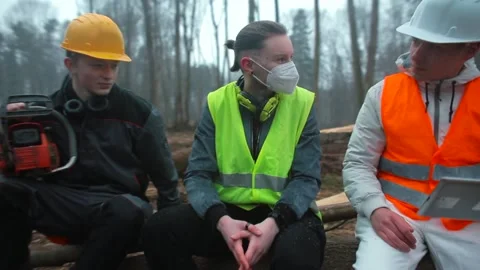 Logging workers discussing work plan. Scheduling work in early morning. Video stock 153161815