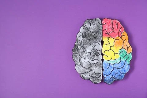 Logic and creativity. Paper brain with one colorful hemisphere and another .. Foto stock