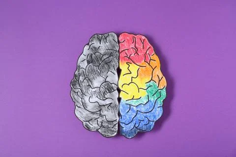 Logic and creativity. Paper brain with one colorful hemisphere and another .. Foto stock