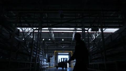 Logistic Engineer Manager Walking Past Warehouse With Industrial Merchandise. 動画素材 146542666