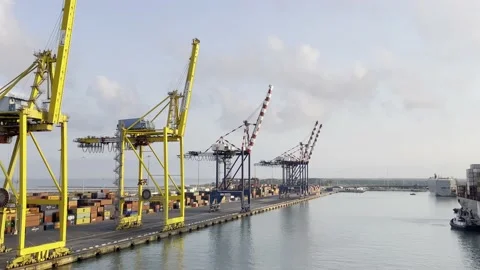 Logistic terminal with cranes for loading cargo and container in commercial port Stock Footage 219865049