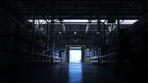 Logistic Warehouse Worker Engineer Inventory Manager In Factory Plant Storage. Vidéo 146542588