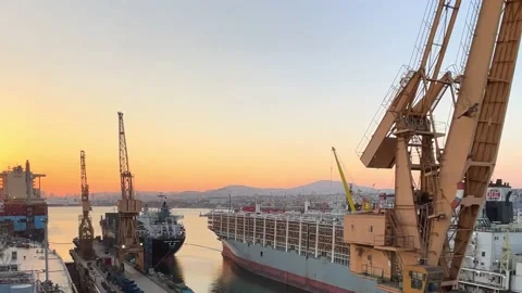 Logistics and Container Cargo ship and working crane bridge in shipyard Stock Footage 207703302