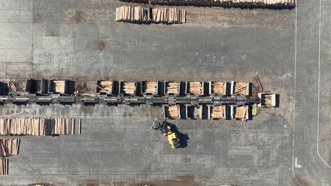 Logistics and supply chain of timber in a modern forestry industry facility. Stock Footage 333844954
