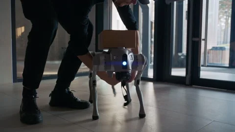 Logistics Collaboration of Human and Robot Video stock 322946367