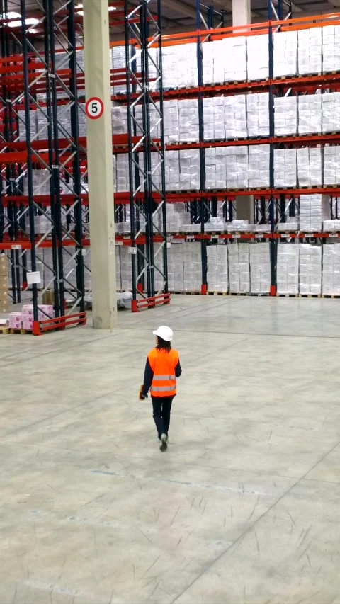 Logistics engineer walking in warehouse Stock Footage 305647094