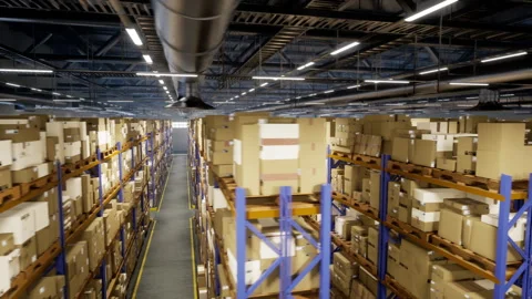 Logistics facility containing merchandise for distribution procedures Stock Footage 266853659