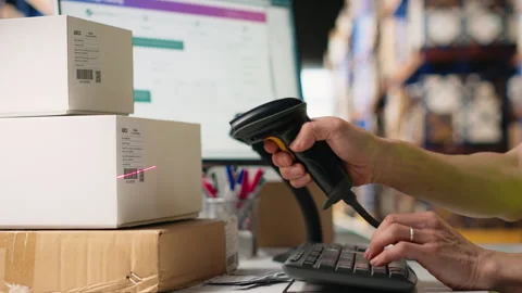 Logistics hub worker uses scanner on tracking info tags for express delivery Stock Footage 313087401