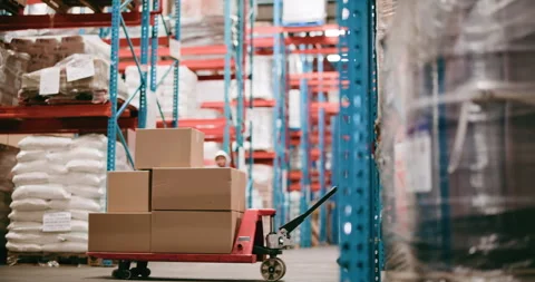 Logistics, man or trolley with tablet in warehouse to transport boxes, monitor Stock Footage 321068616