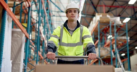 Logistics, man or walking with cart in warehouse to transport boxes, backlog Stock Footage 318506452