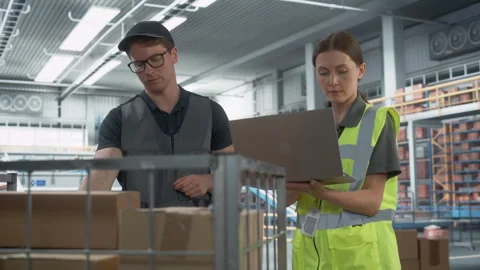 Logistics Packages Sorting Warehouse Two Workers Stock Footage 251708043