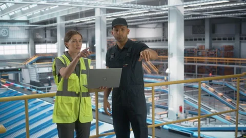 Logistics Packages Sorting Warehouse Workers Stock Footage 251706380
