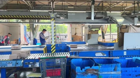 Logistics Workers Sorting Parcel Boxes on a Moving Conveyor Belt 스톡 동영상 333513837