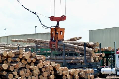 Loglift crane offloading logs from log transport truck Stock Photos
