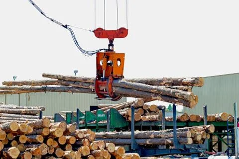 Loglift crane offloading logs from log transport truck Stock Photos