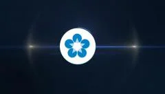 Logo Stock After Effects