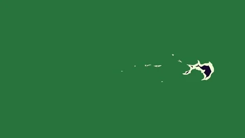 Logo Animated With Cat On Chroma Key For Compositing Stock Footage 338011744