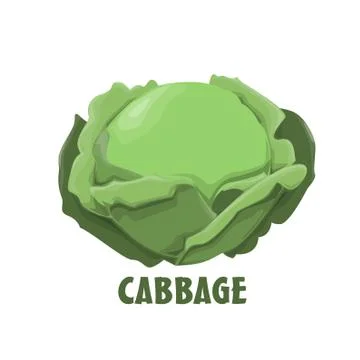 Logo Cabbage vector farm design Stock Illustration