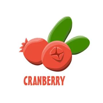 Logo Cranberry vector farm design Stock Illustration