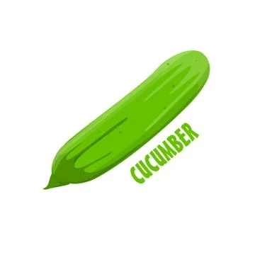 Logo Cucumber vector farm design Stock Illustration