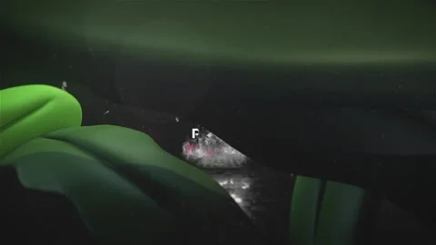 Logo Dark Opener Stock After Effects