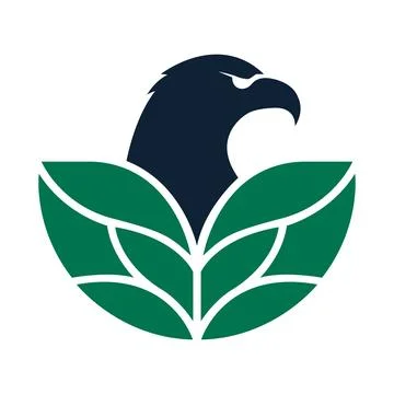 Logo design eagle nature bird leaf logo design template icon symbol creative ide Stock Illustration