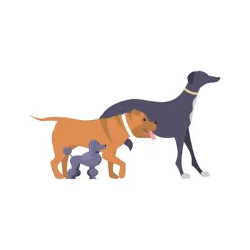 Logo with a dogs Stock Illustration
