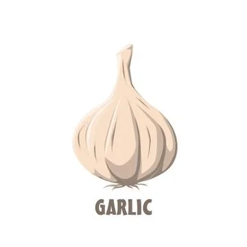 Logo Garlic vector farm design Stock Illustration