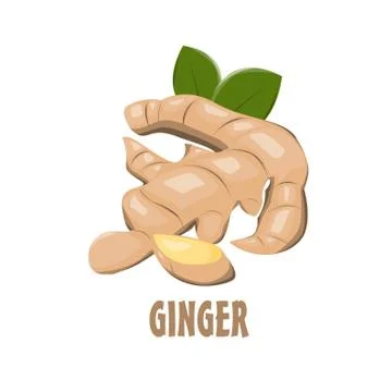 Logo Ginger vector farm design Stock Illustration